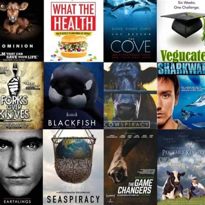 Best Vegan Movies & Documentaries to Watch