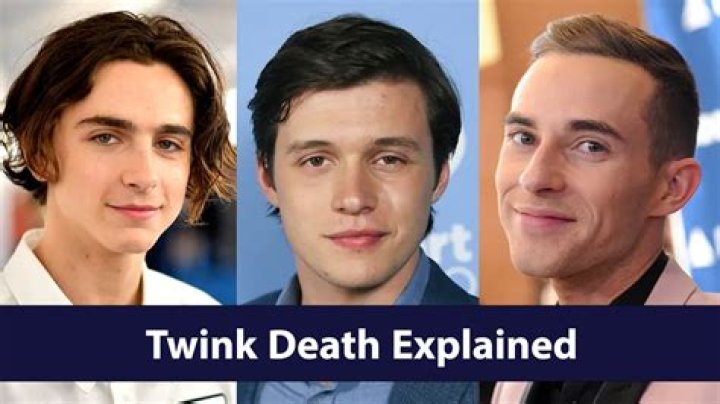 Exploring the Meaning of "Twink Death"