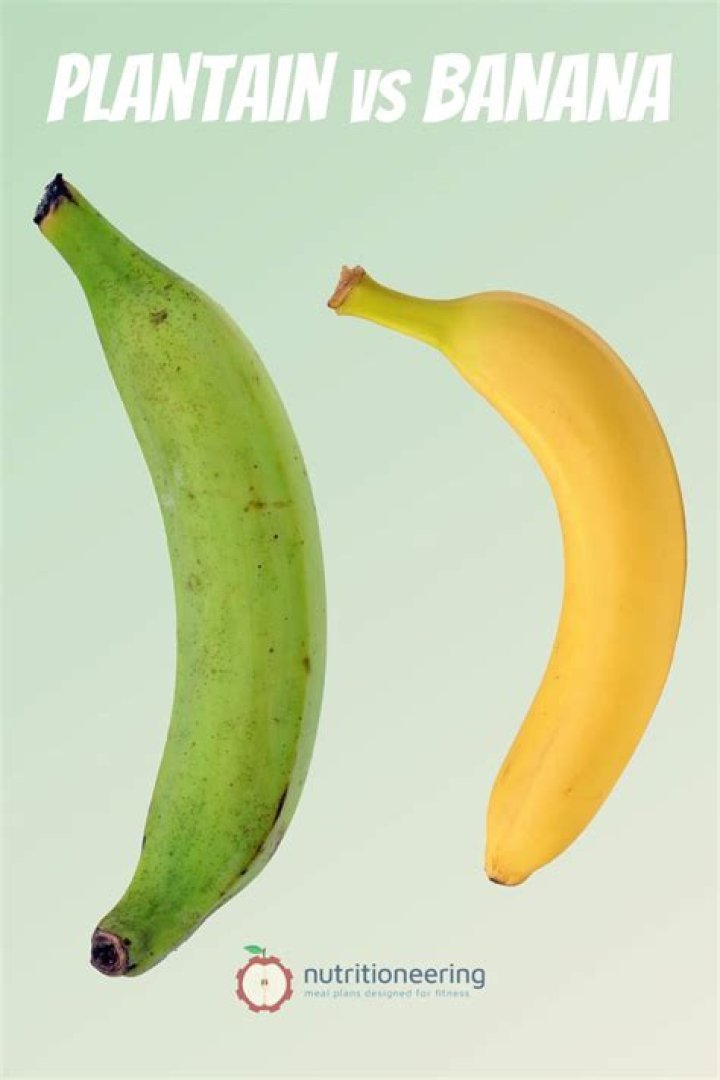 The Challenge: Are Bananas and Moriah Still Together?