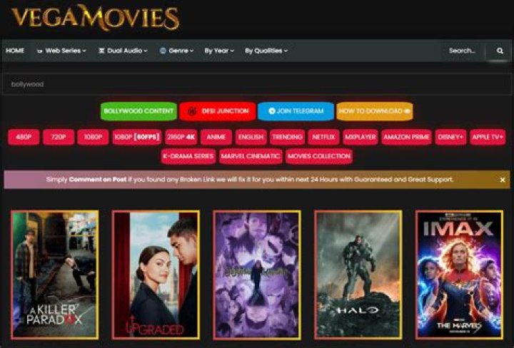 Vegamovies: Shut Down & Alternatives