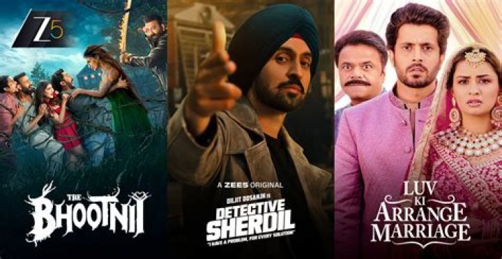 Watch Hindi Movies & TV Shows Online