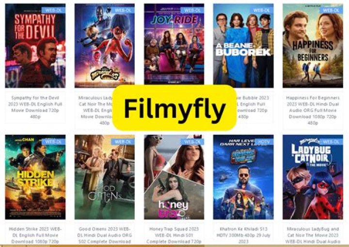 Watch Movies & TV Shows Online | FilmyFly