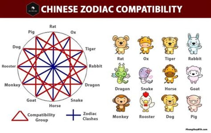 Water Goat Zodiac: Traits, Compatibility & 2024 Insights